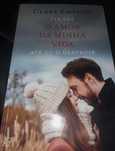 Livro "o amor da minha vida até eu destruir: