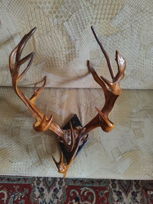 Роги оленя натуральні