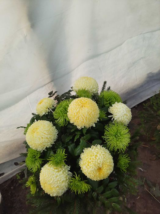 Wiązanki z żywych kwiatów chryzantem TANIO