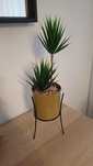 Vaso dourado com suporte + planta (novo)