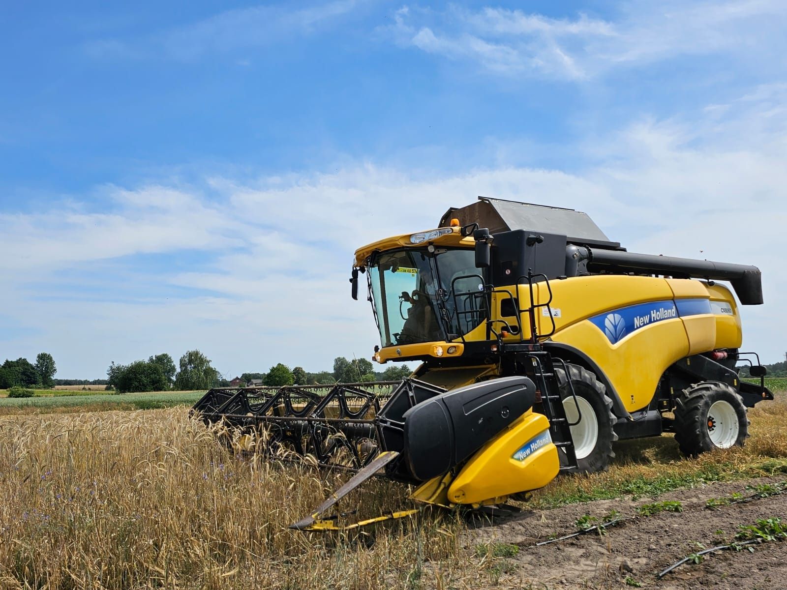 New holland cx 8060 heder 6.10m