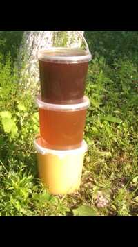 Продам мед з власної пасіки (Пилок,прополіс)