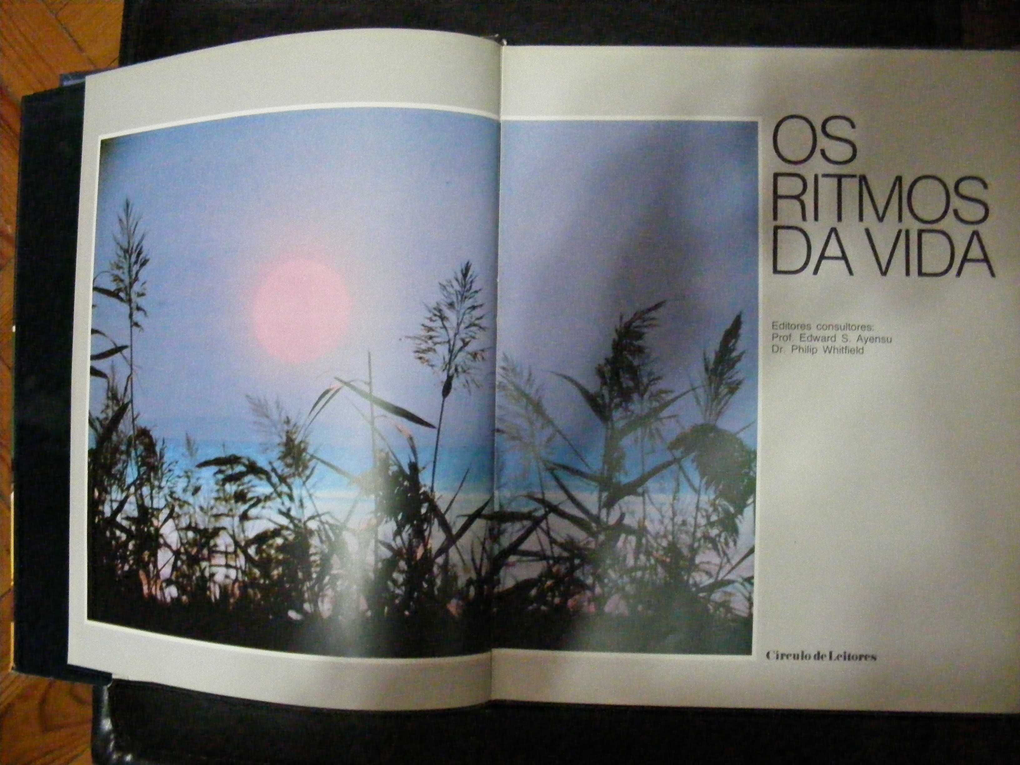 Livro "Os Ritmos da Vida" - 1983 - Círculo de Leitores