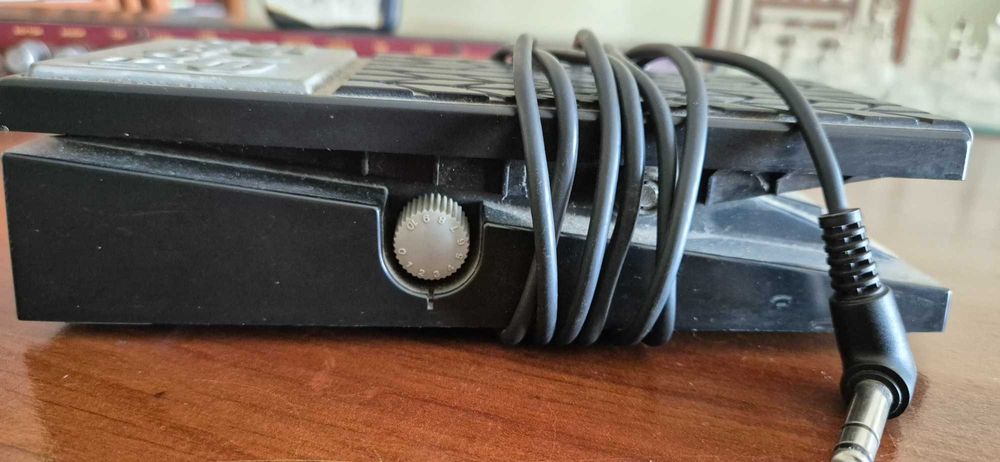 Roland EV 5 Pedal de Expressão