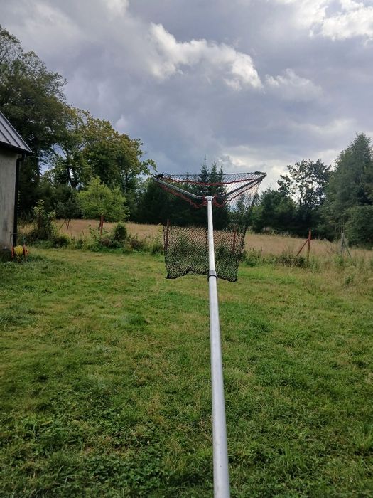 Podbierak w dobrym stanie
