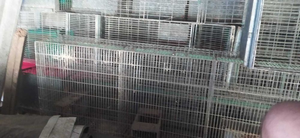 Coelheiras galvanizadas