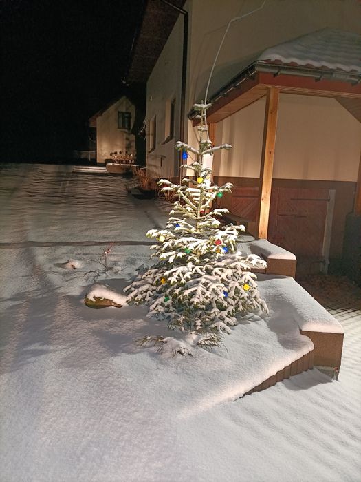 Domek na  Mikołajki z jacuzzi  blisko Warszawy nad rzeką - Romek