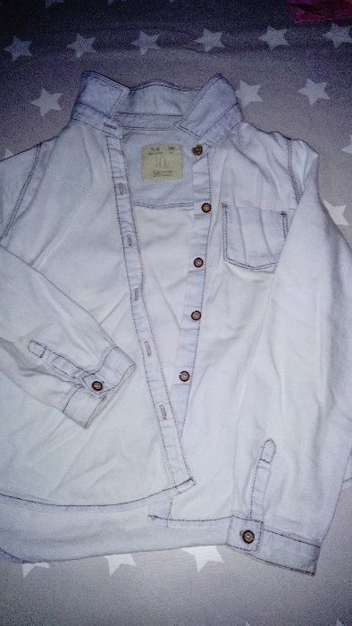 Camisas (ganga e flanela)