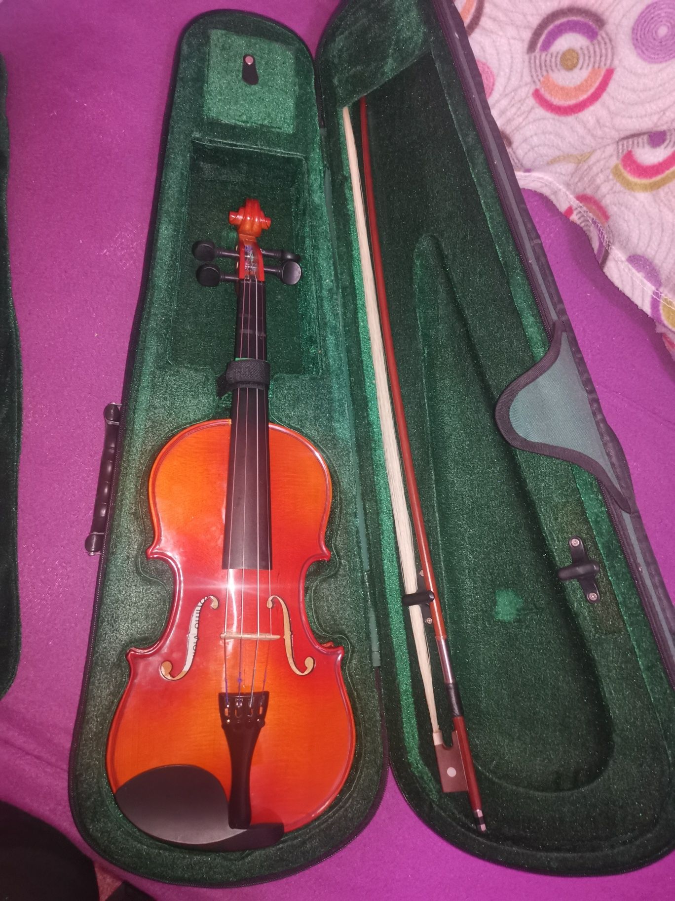 Violino.           .