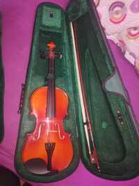 Violino.           .