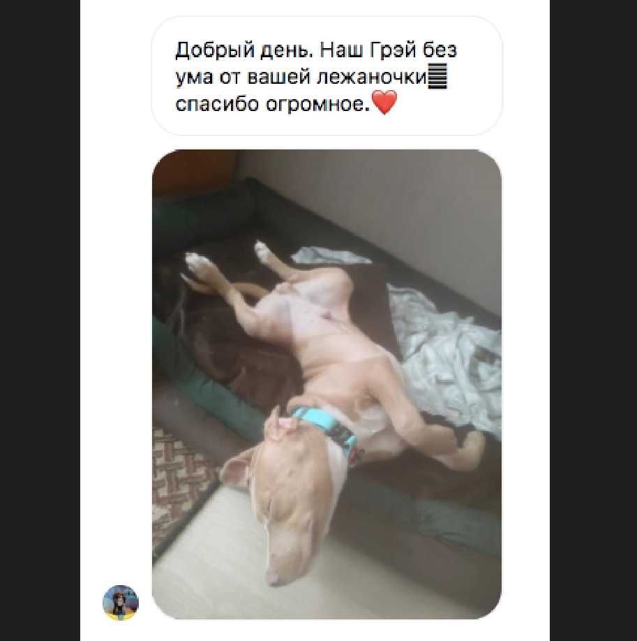 Лежанки для Собак. Великий лежак 120х80см. - місце преміум відпочинку