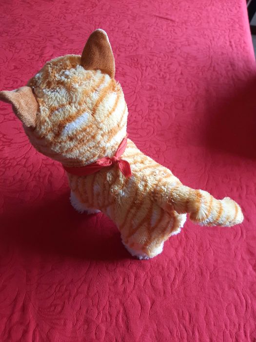 Gato Garfield Interativo