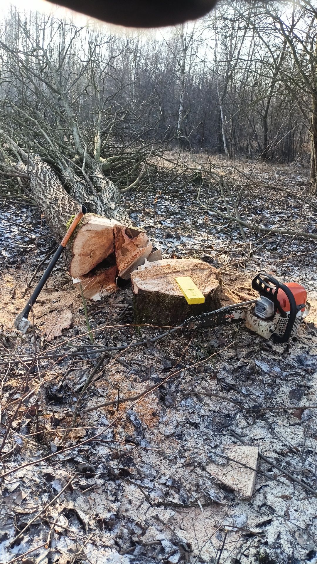 Wycinka i pielęgnacja drzew alpinistycznie, koszenie trawy, żywopłoty