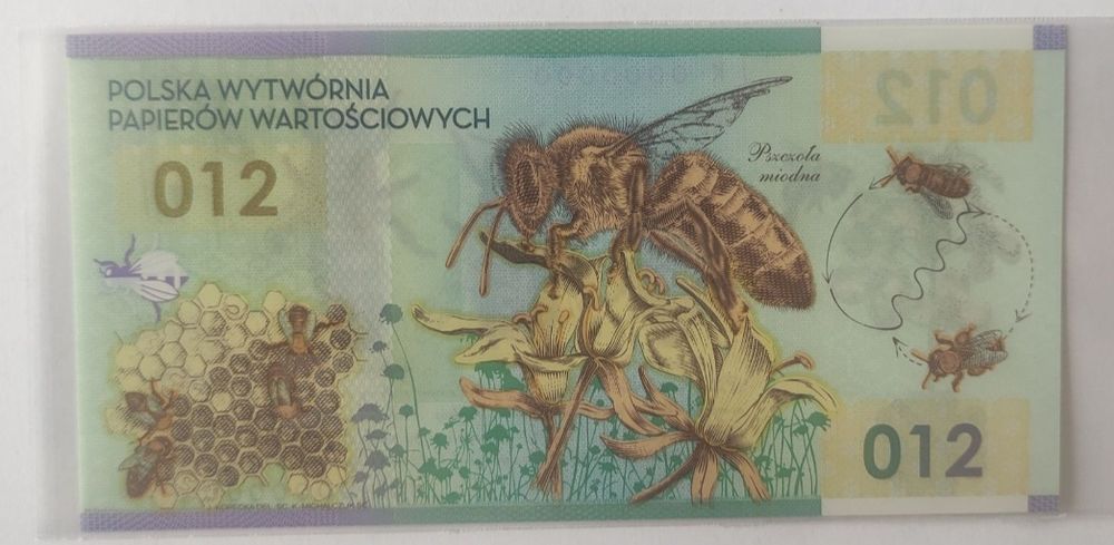 Banknot polimerowy pszczoła miodna 12