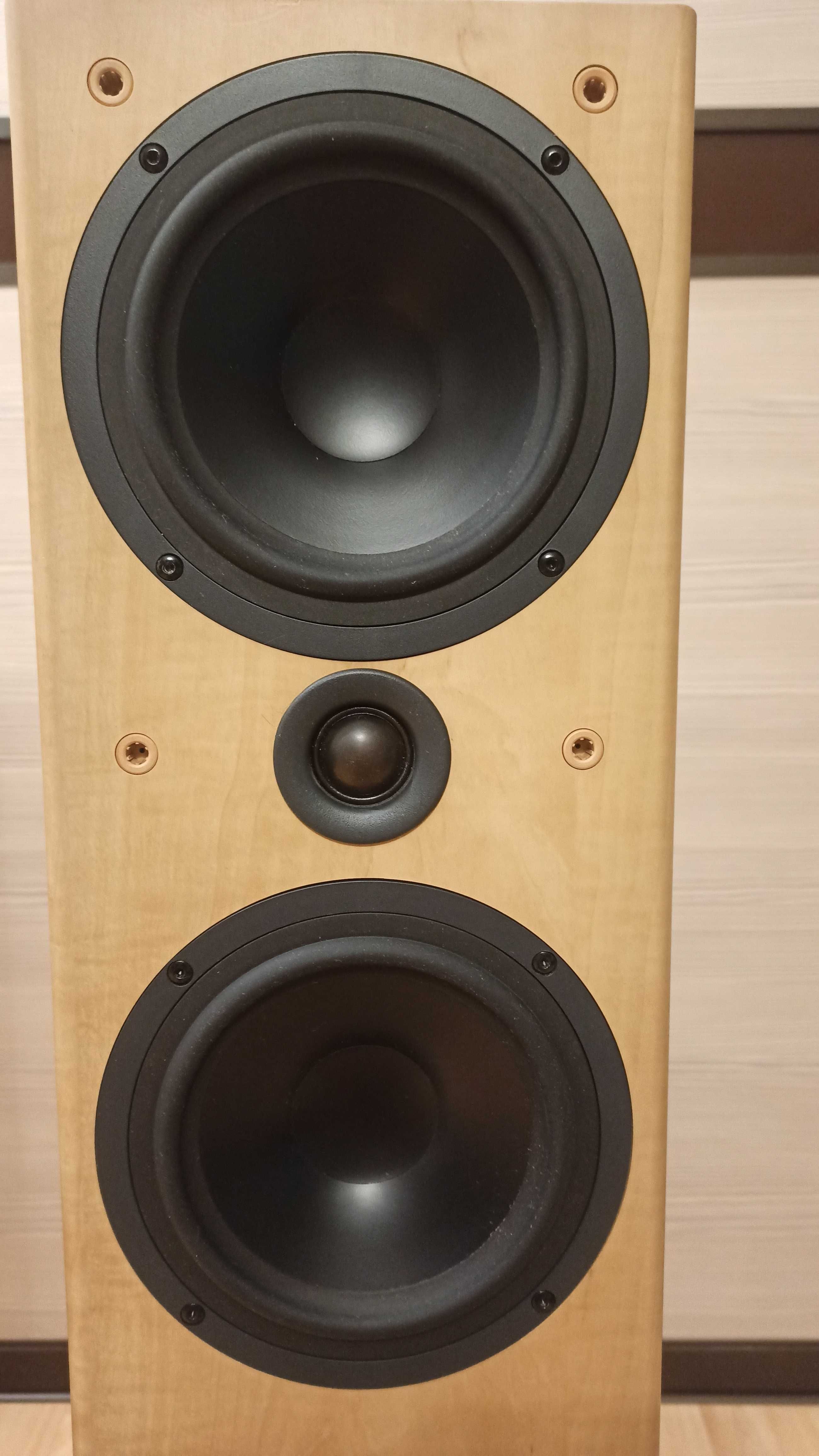 Tannoy Mercury F4 Акустичні колонки підлогові