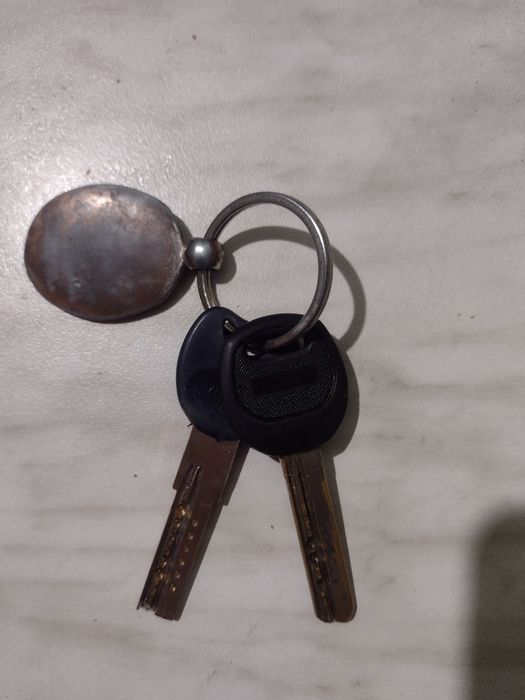 Знайдені поверну власнику