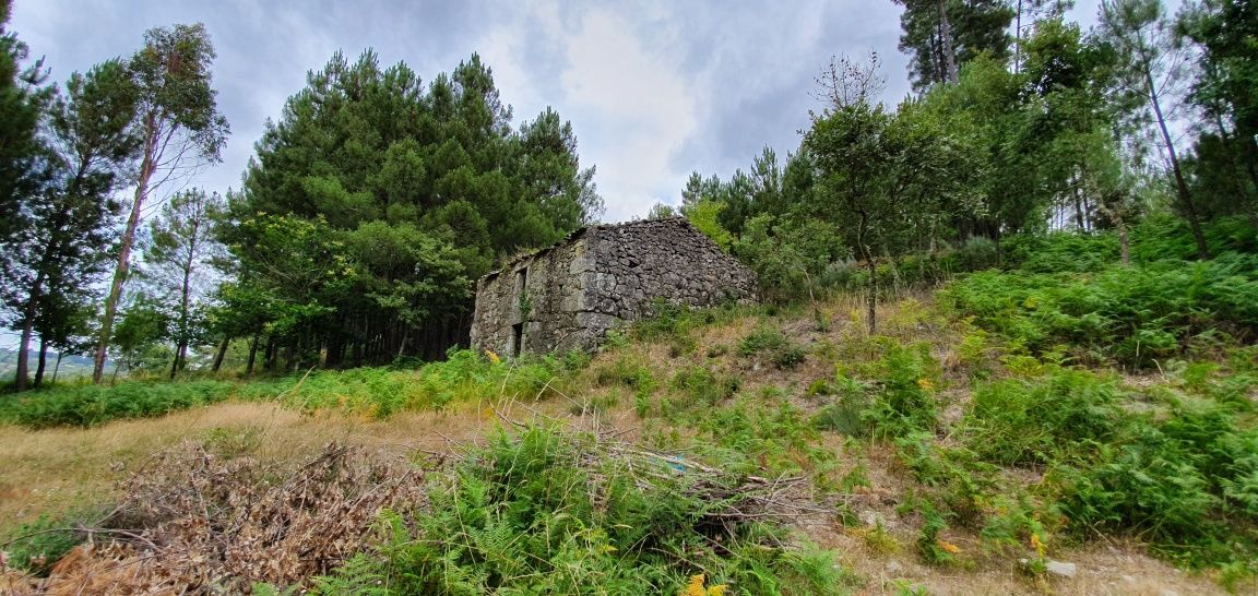 Quintinha com Casa para Reconstrução