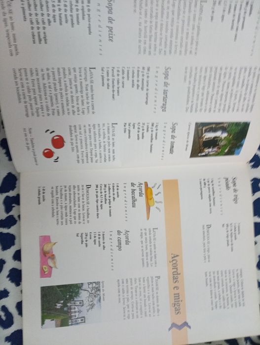 Cozinha de Portugal Madeira e Açores Maria Odette Cortes Valente