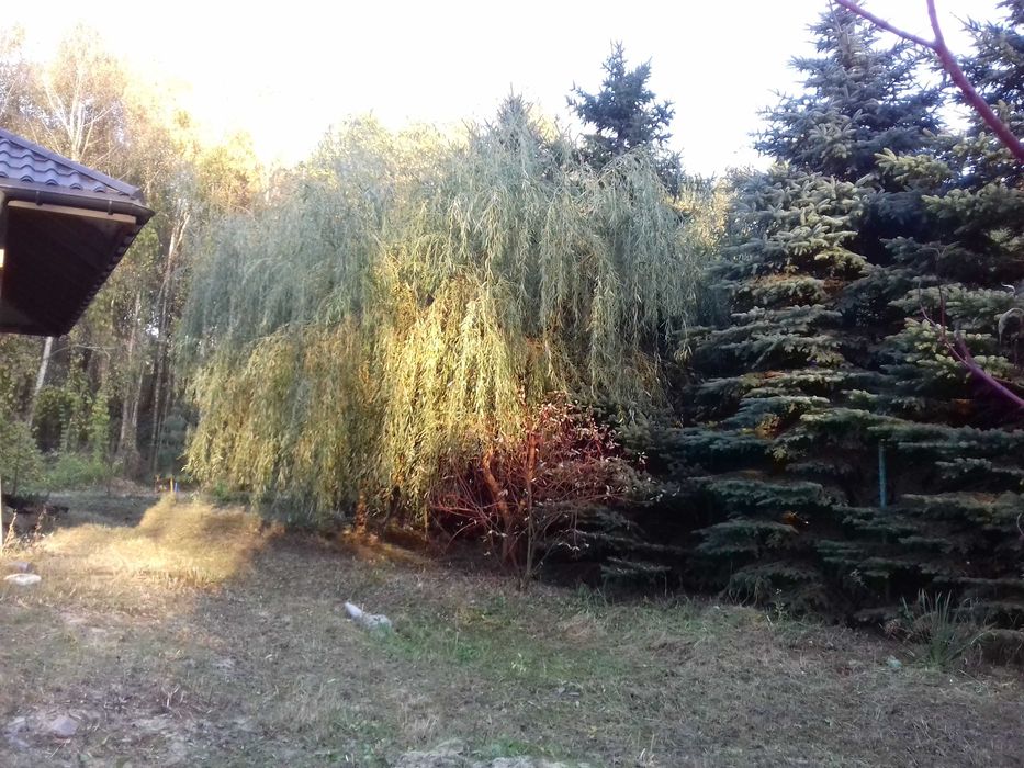 Dom architekta wygodny o pieknych przestrzeniach