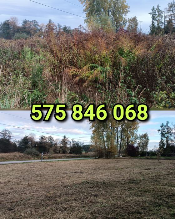 Koszenie trawy nieużytków, bijakowa kosiarka, karczowanie, wycinka,itd