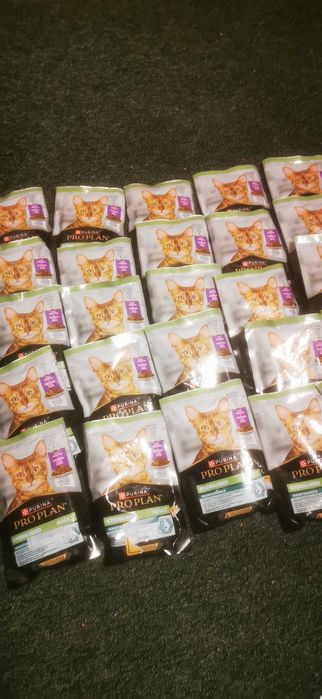 34x saszetki Purina pro plan karma dla kota