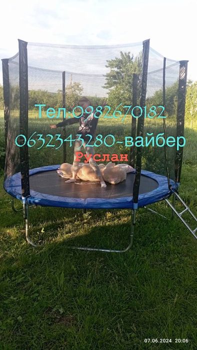 Батут Just Jump 
  183см 252см 312см  опт,  роздріб, дроп