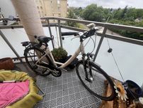 Rower Triumph Damka 28 cali kola