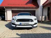 Ford Mustang Mustang GT 5.0 Performance Pack Manual