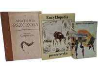 Hodowla pszczół, Encyklopedia pszczelarska, Anatomia pszczoły