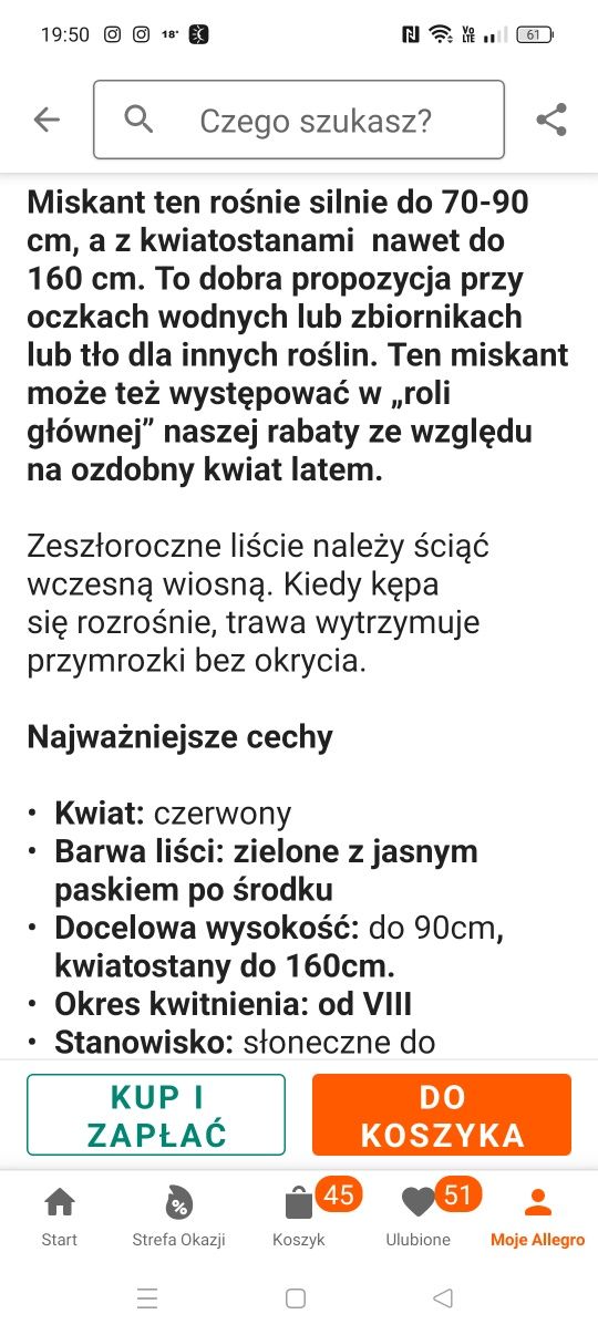 Miscant chiński fernen osten