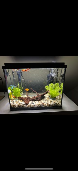 Sprzedam akwarium akcesoria