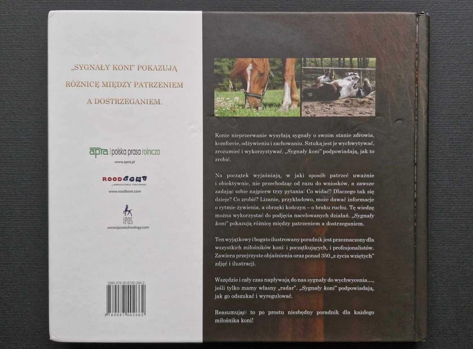 Sygnały koni Menke Steenbergen Jan Hulsen