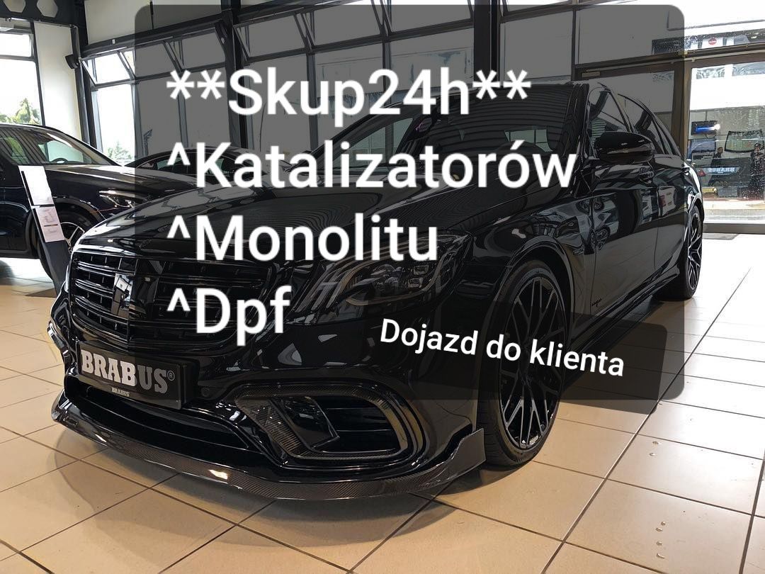 Skup 24H/7Skup Katalizatorów Skup Dpf Skup Monolitu Skup Akumulatorow.