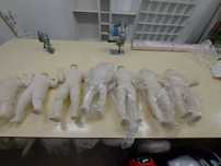 Manequins diversos tamanhos
