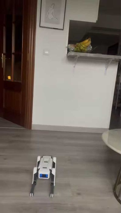 Cão mecânico para crianças