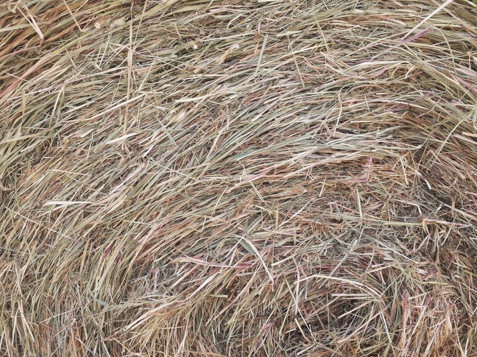 Venda de feno e palha