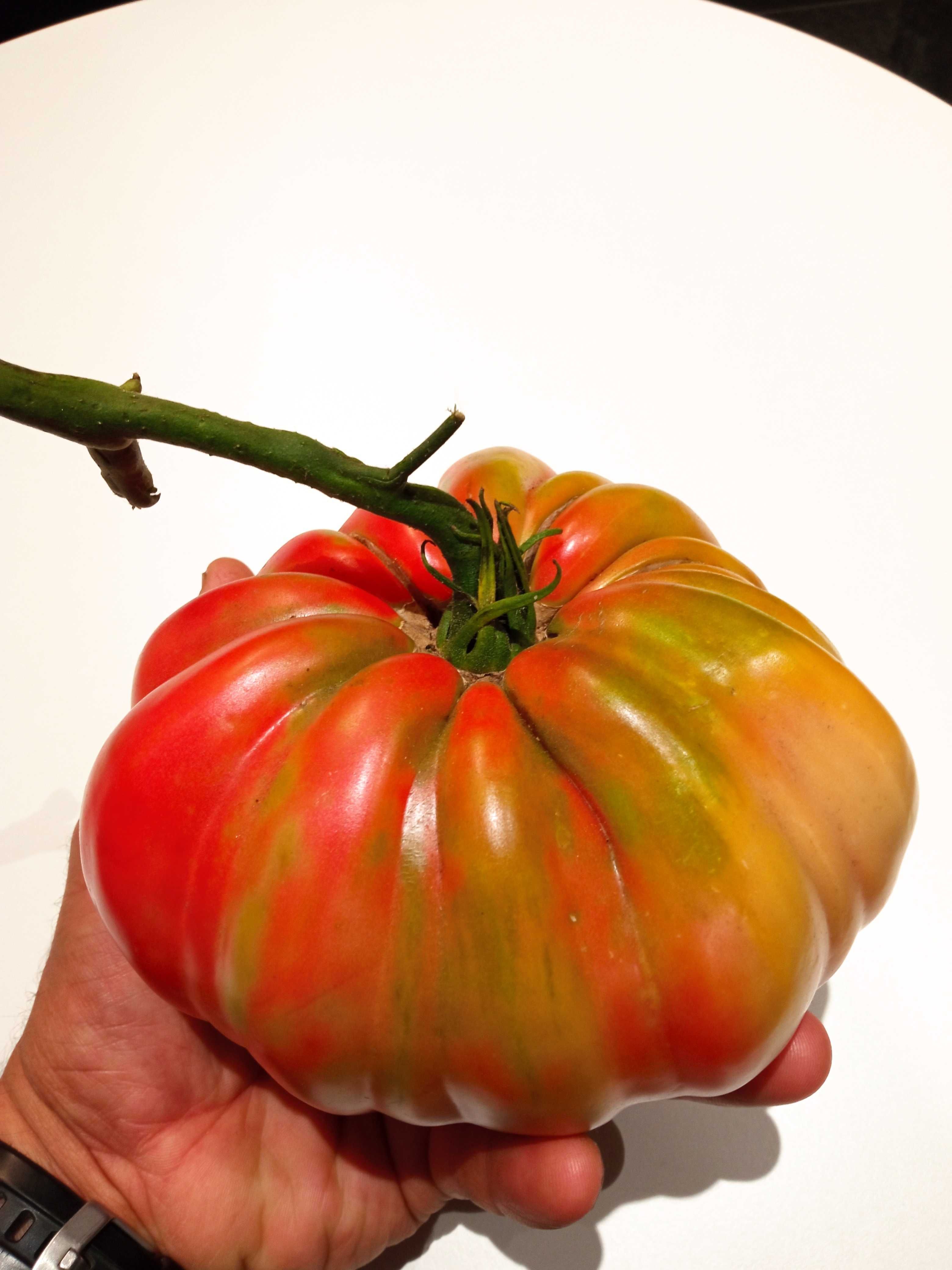 Sementes de Tomate Coração de Boi - Especiais