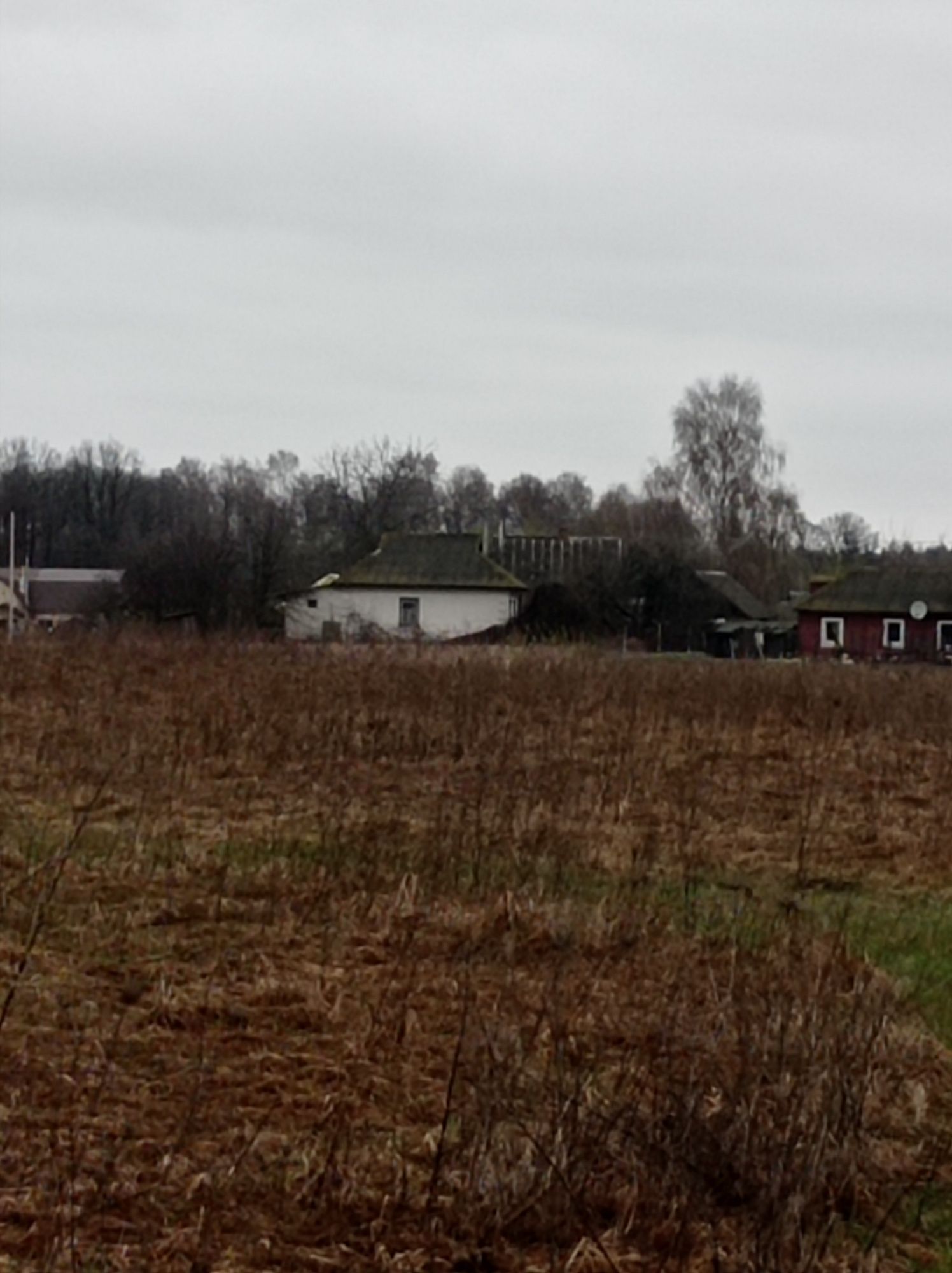 Помешкання в передмісті Чернігова біля озера під лісом. Село Деснянка.