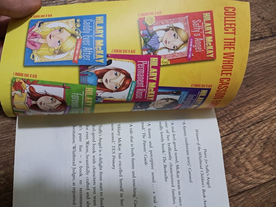 Хіларі Маккей "Янгол Софі", книга англійською для підлітків