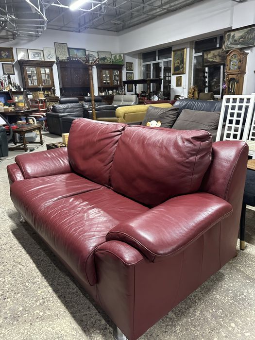 Дивани шкіряні.