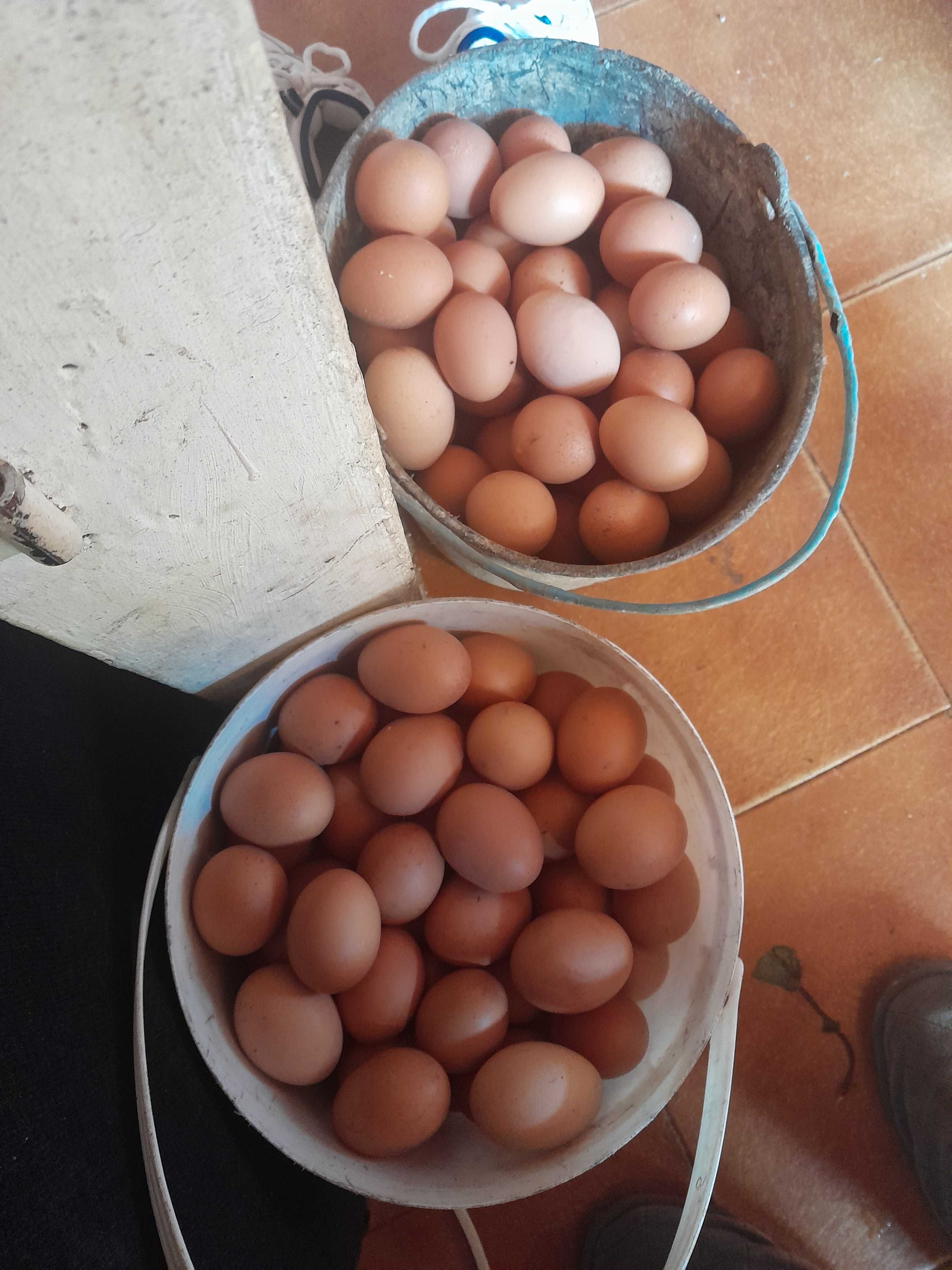 Ovos caseiros 2,50€ a duzia