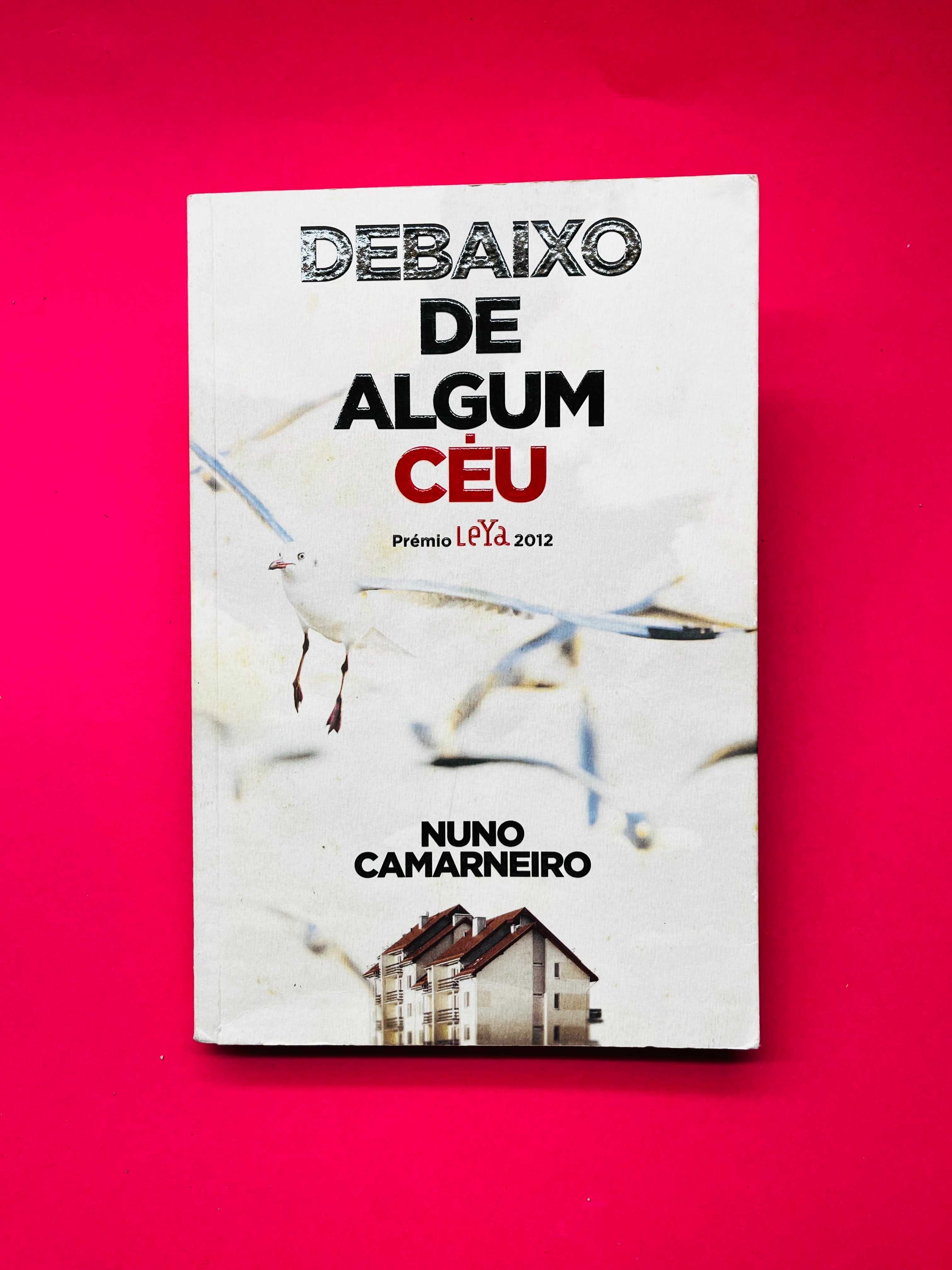 DEBAIXO DE ALGUM CÉU - Nuno Camarneiro