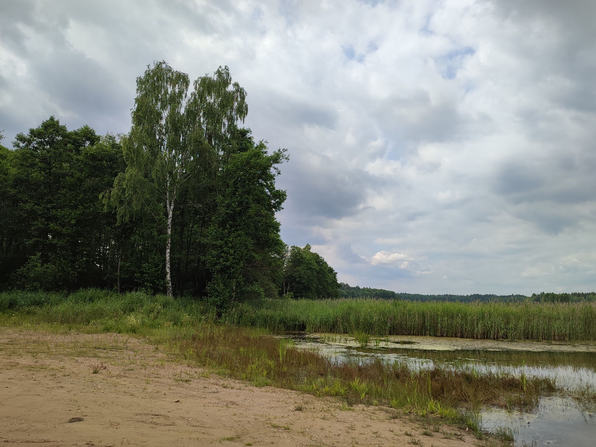 Działka nad jeziorem Krzywe Oleckie w miejscowości Sajzy.