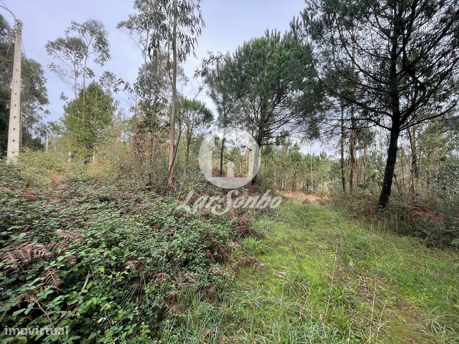 Terreno Rústico de 25000m² em Canidelo, Vila do Conde