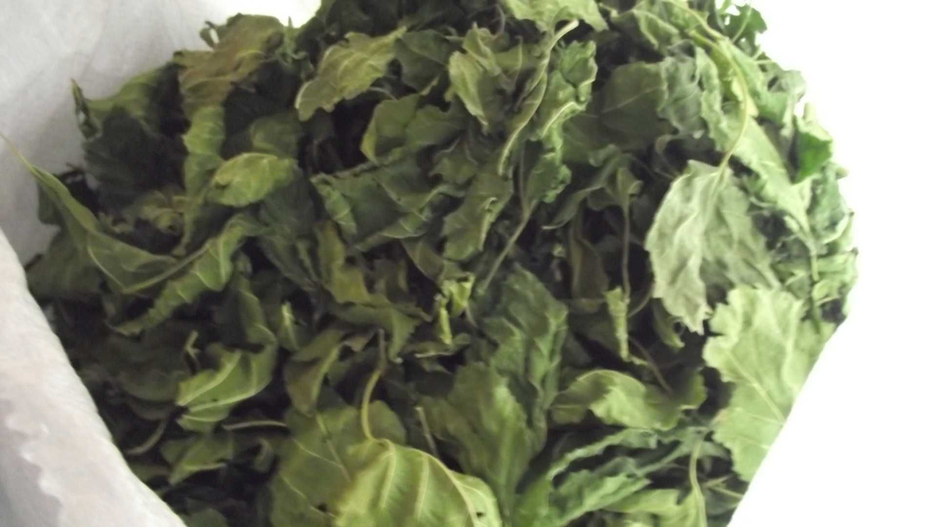 Сушене Листя Шовковиці