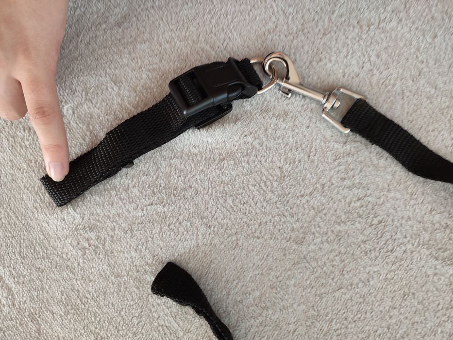 Obroża+smycz dla psa/kota