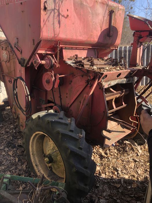 Мусей фергісог