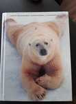 Livro Miller - Ambiente