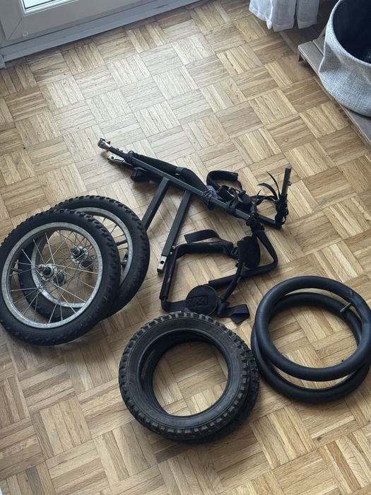 wózek rehabilitacyjny dla psów