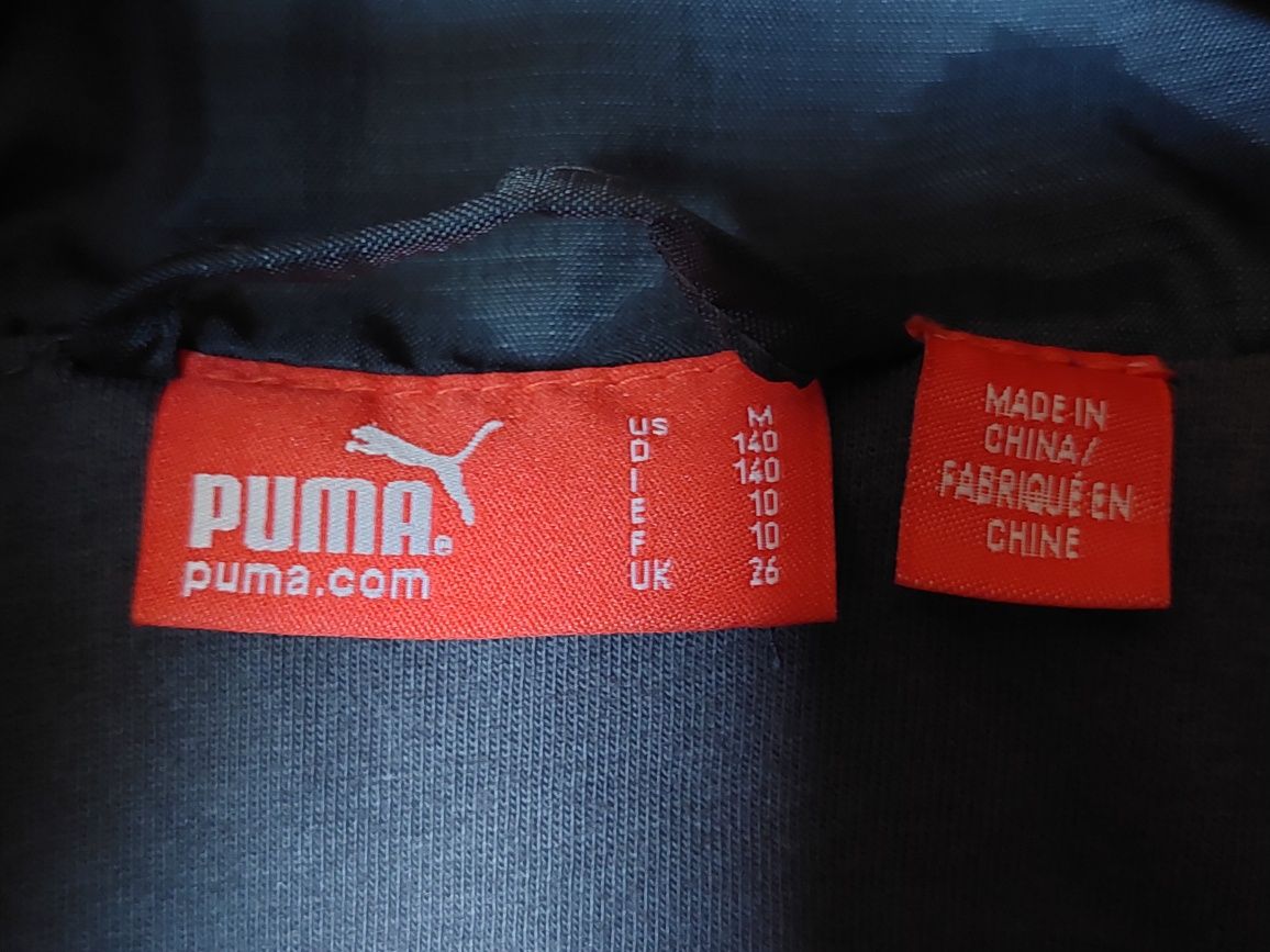 Wiatrówka, bluza sportowa Puma